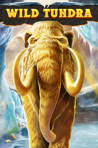Wild Tundra